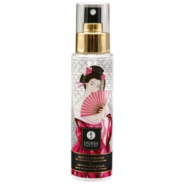 Очищающее средство Gentle Cleaner